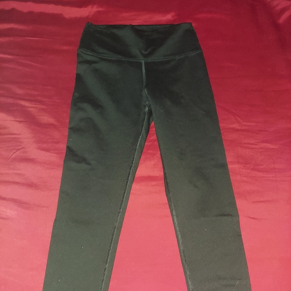 Fabletics pants